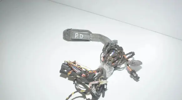 BMW X6 E71 Front door wiring loom 9242070 9239540 61129239540