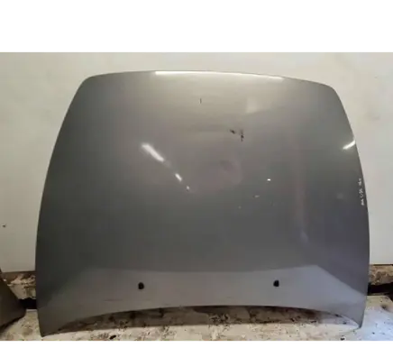 Engine bonnet/hood