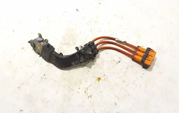 Other wiring loom