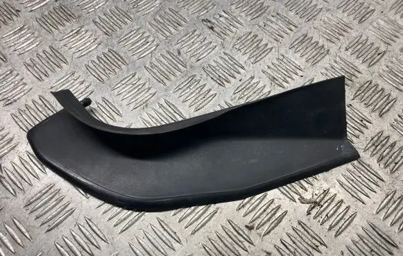 Rear/tail light trim molding