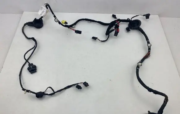 Front door wiring loom