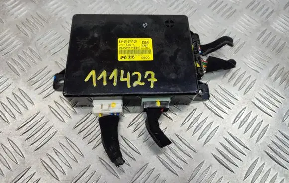 Hyundai Santa Fe Seat control module 954502W100