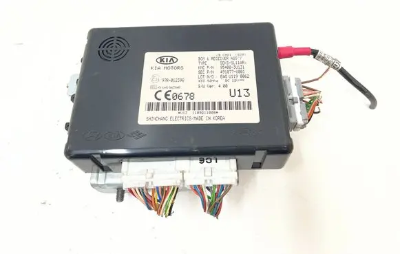 KIA Sportage Other control units/modules 954003U131