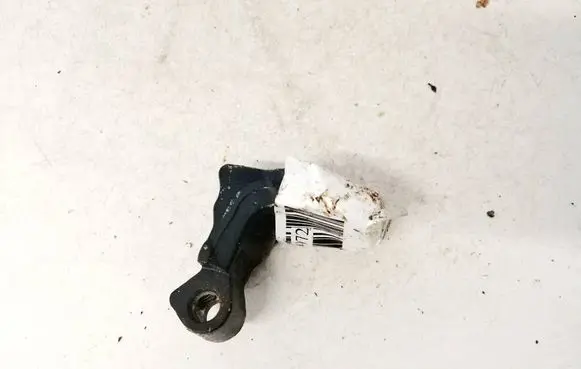 Rear door lower hinge