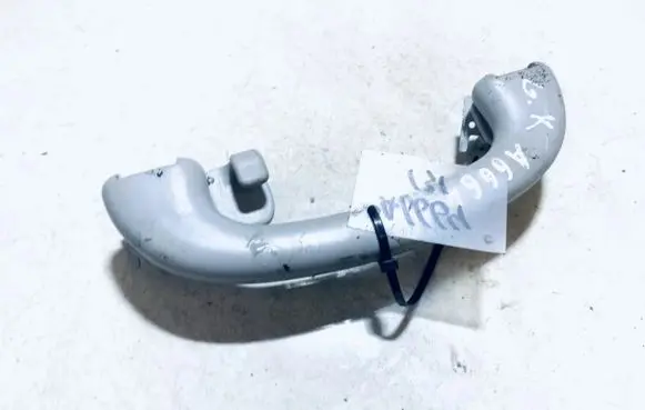 Ford Focus Rear interior roof grab handle