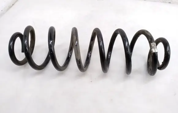 Rear coil spring