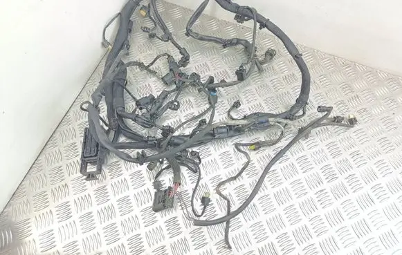Engine installation wiring loom