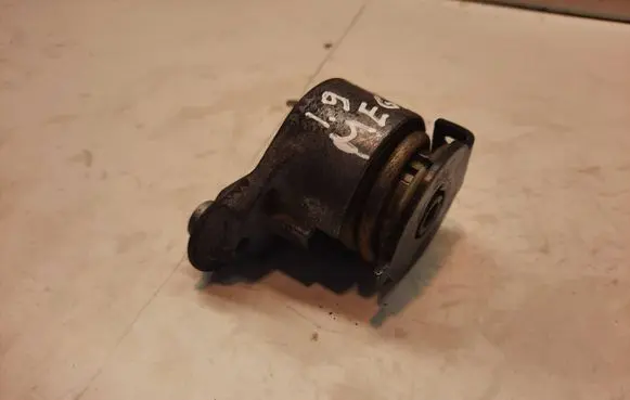 Renault Megane II Alternator belt tensioner 072120628000