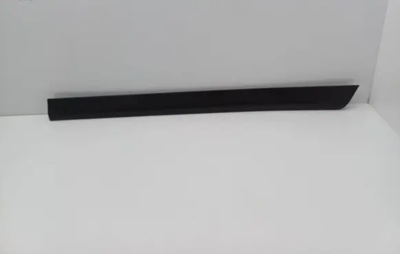 Volkswagen PASSAT B6 Rear door trim (molding) 3C0854949