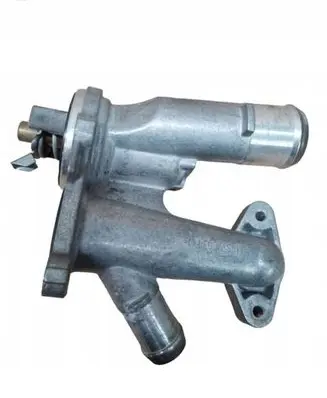 Thermostat/thermostat housing