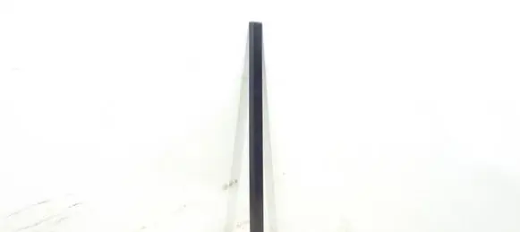 Mercedes-Benz E W211 Front door trim (molding) 2116901062 A2116901062