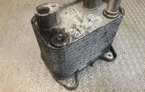 Mercedes-Benz ML W163 Engine oil radiator 6131880101 A6131880101