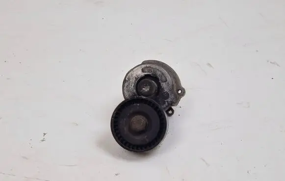 Fiat 500X Generator/alternator belt tensioner 55215811