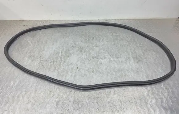 BMW X4 G02 Rear door rubber seal (on body) 7416517