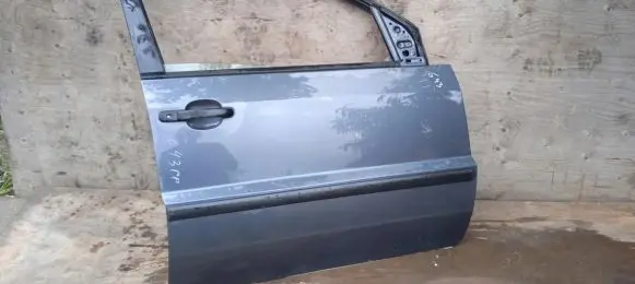 Ford Fusion Front door