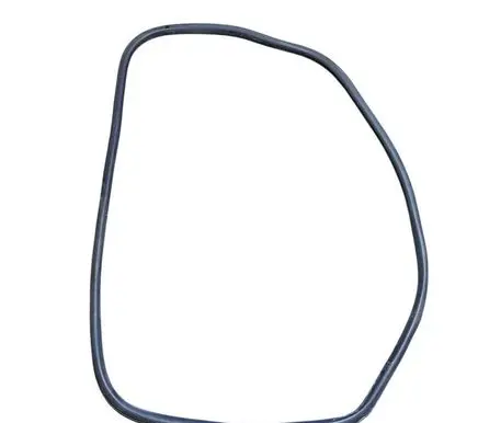 Ford Edge II Rear door rubber seal (on body) FT4Z58253A10B