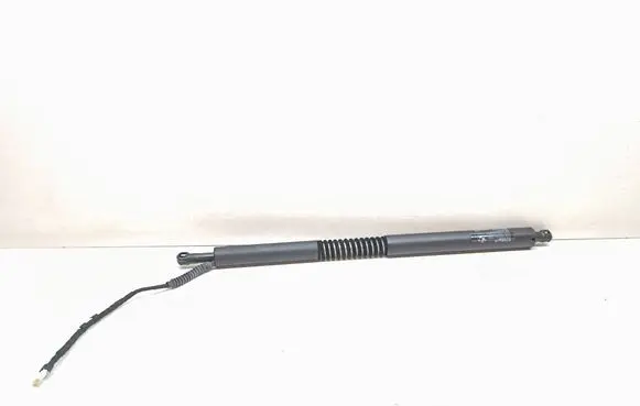 BMW 3 GT F34 Tailgate/trunk strut/damper 7298984 51247298984