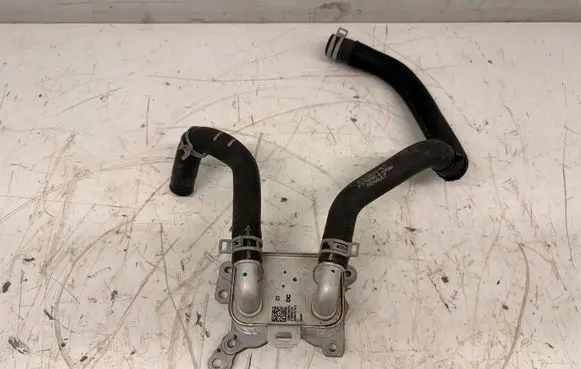 Dacia Sandero III Engine oil radiator SAN3CHLOD1 213055917R
