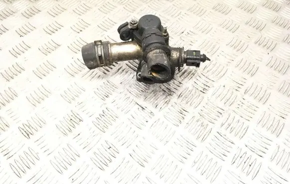 Thermostat/thermostat housing
