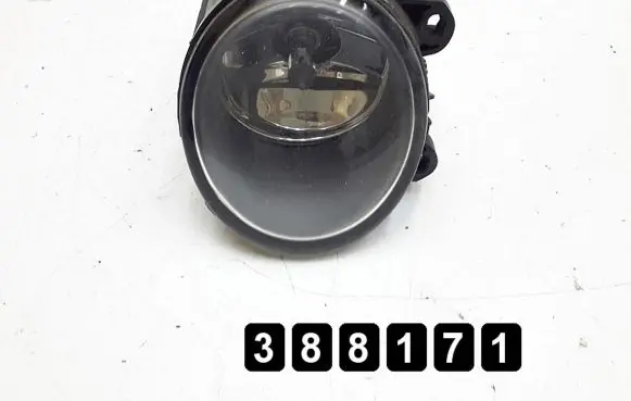 BMW X5 E53 Front fog light