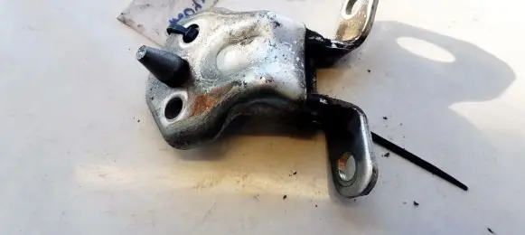 Renault Laguna II Rear door lower hinge