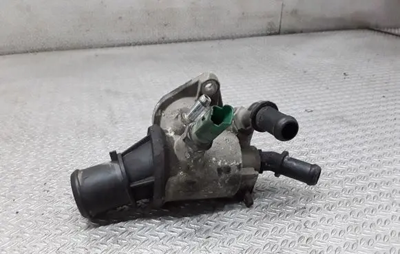 Thermostat/thermostat housing
