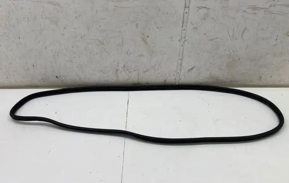 Hyundai Kona II Front door rubber seal