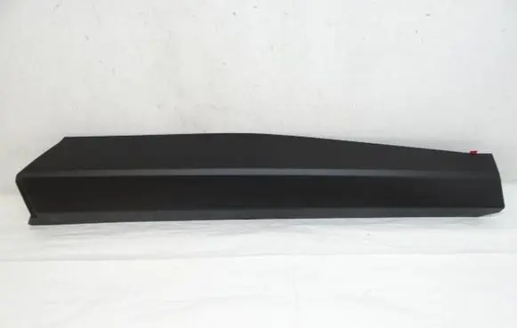 Rear door trim (molding)