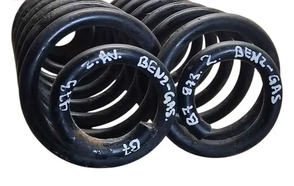 Rear coil spring