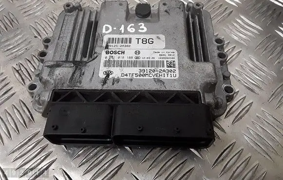 KIA Optima Engine control unit/module 391202a302 0281018188