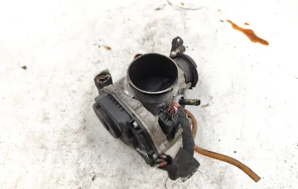 Volkswagen PASSAT B5 Throttle valve 058133063H 408237212002