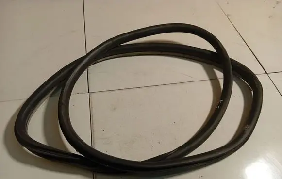 Renault Laguna III Rubber seal rear door 