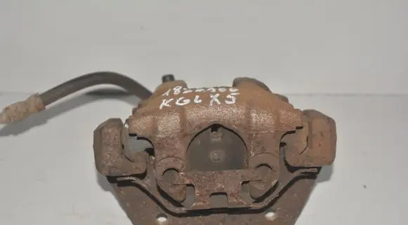 BMW X5 E53 Rear brake caliper