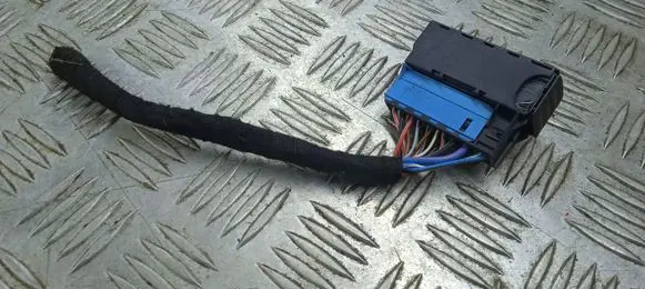 BMW Z4 E89 Other wiring loom 6925543