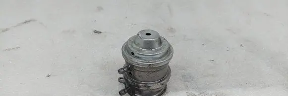 Mercedes-Benz S W220 EGR valve A61309801 T219728119