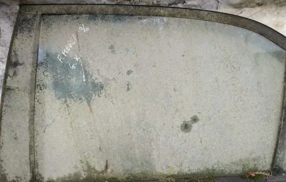 Rear door window glass