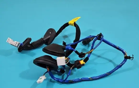 Hyundai Elantra VI Rear door wiring loom 91665-F2010 IMPRK1432469
