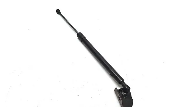 Tailgate strut