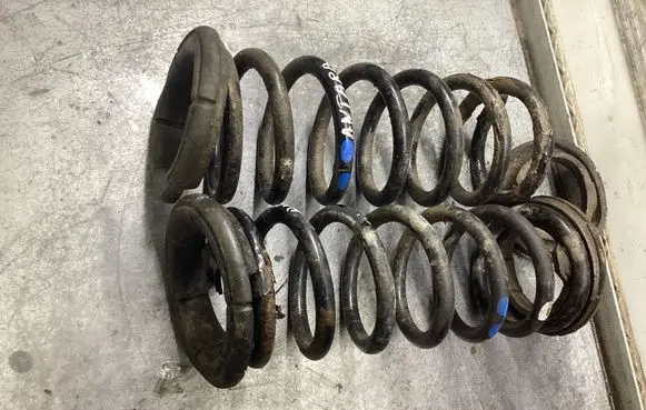 Rear coil spring