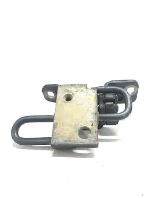 Volkswagen Phaeton Rear door lower hinge 3D483341B