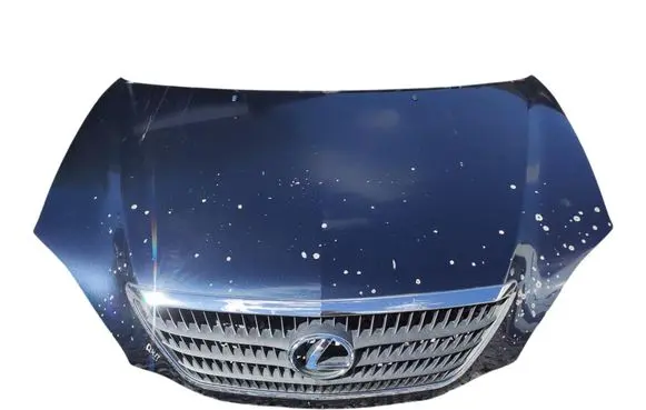 Lexus RX 300 Engine bonnet/hood 