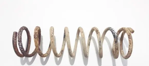 Ford Focus Rear coil spring