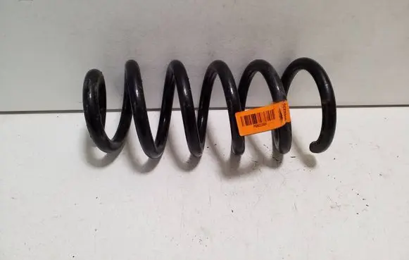 BMW X6 F16 Front coil spring 6862235