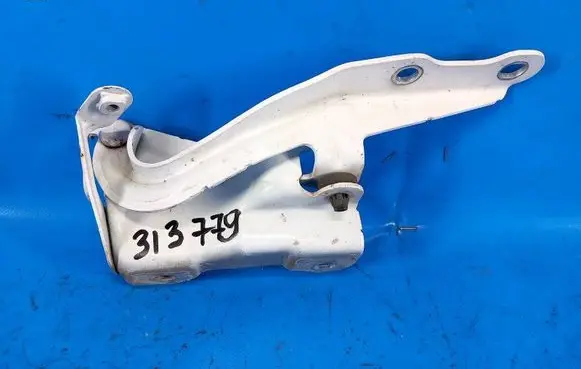 Toyota Tundra II Engine bonnet/hood hinges 534200C020