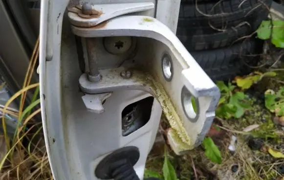 Citroen C3 Front door upper hinge