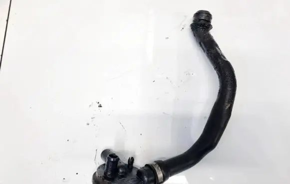 Seat Alhambra (Mk1) Breather/breather pipe/hose 028129101D