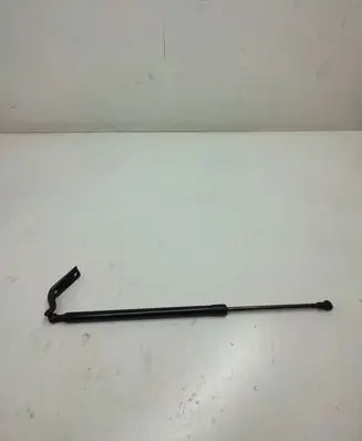Nissan Pulsar Tailgate/trunk strut/damper 904513ZL0A