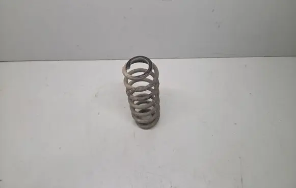 Volkswagen Golf VI Rear coil spring