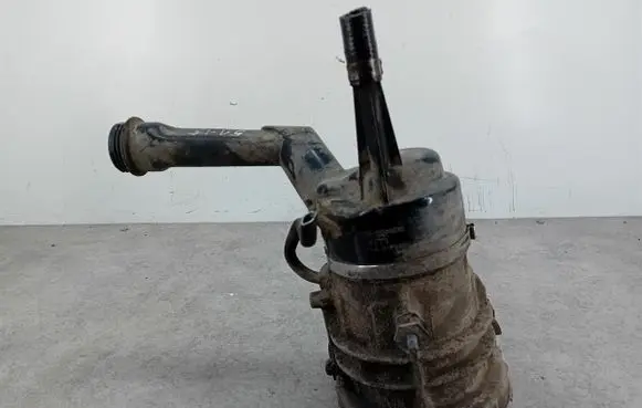 Citroen Berlingo Power steering pump 0970085005094