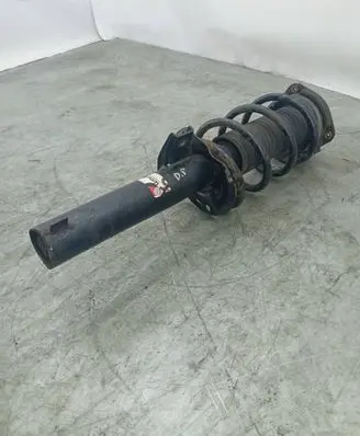 Seat Altea Front shock absorber with coil spring AGW057M1 FC036